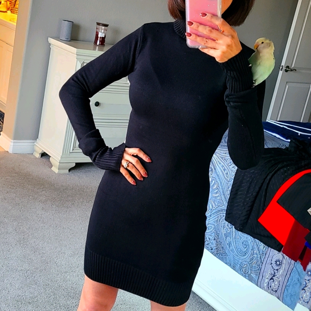 Long sleeve, turtleneck dress